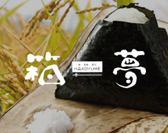 箱夢