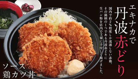 kiji_eye_catching