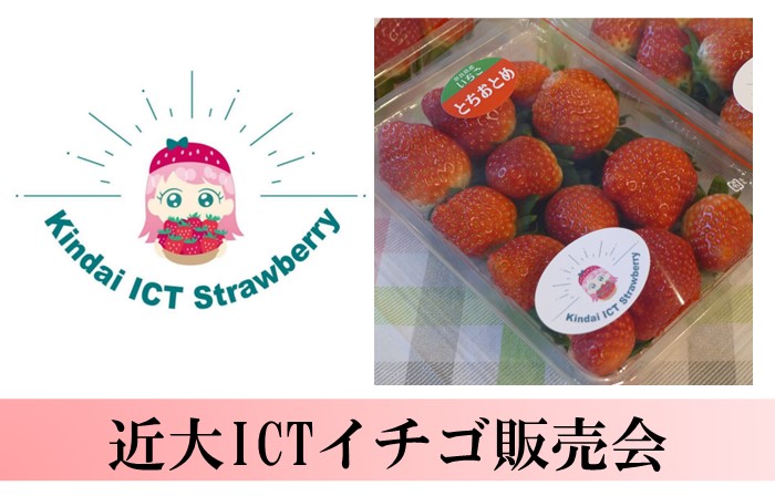 kiji_eye_catching